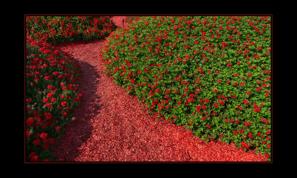 JardinSurprise_03