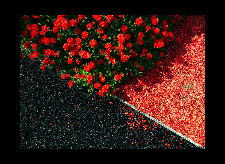JardinSurprise_05