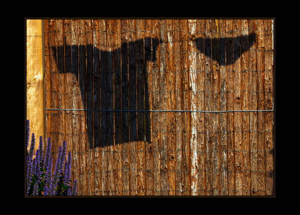 JardinSurprise_07