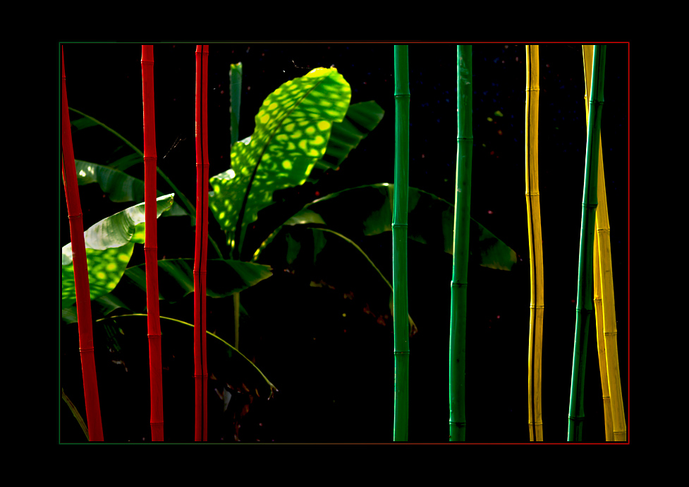 JardinSurprise_10