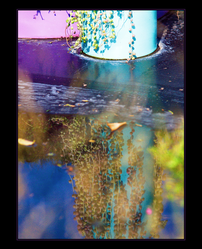 JardinSurprise_12