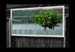 JardinSurprise_01