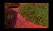 JardinSurprise_03