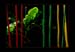 JardinSurprise_10